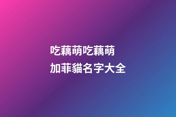 吃藕萌吃藕萌 加菲貓名字大全